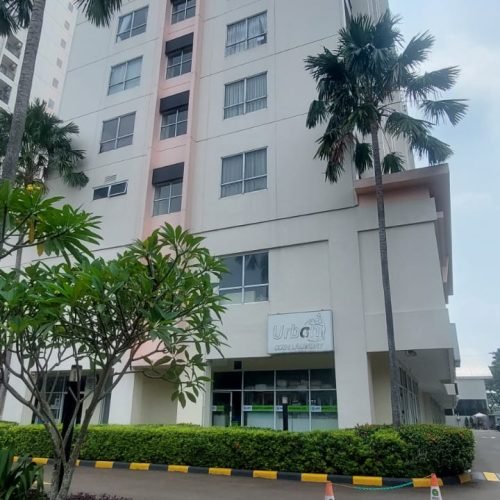 WhatsApp Image 2026-02-11 at 20.21.53