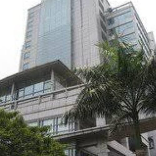 WhatsApp Image 2026-02-12 at 10.16.00